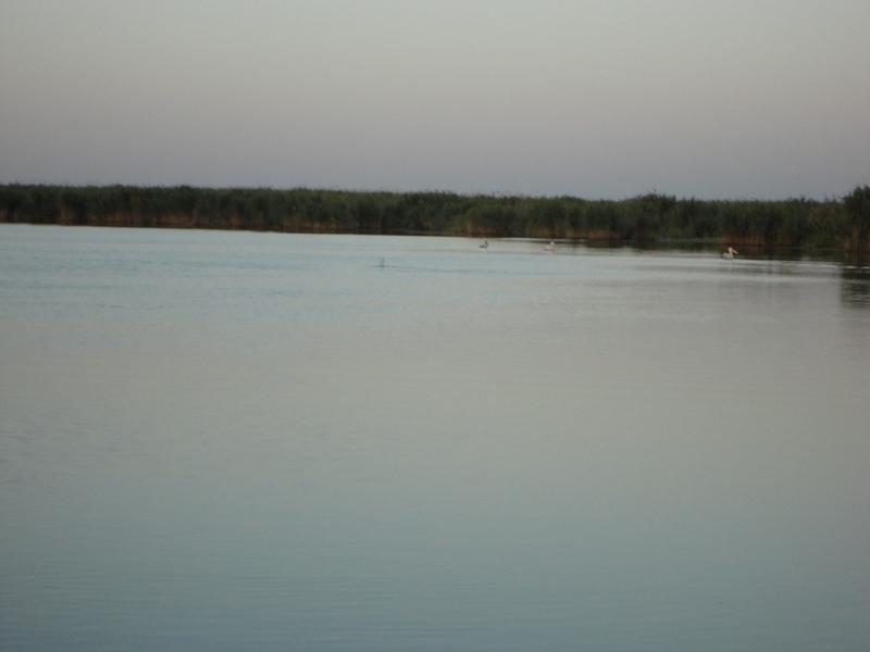 Delta iunie 2013 - dsc09912.JPG